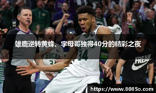 雄鹿逆转黄蜂，字母哥独得40分的精彩之夜