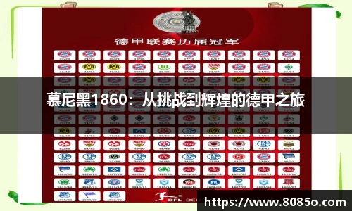 8868体育官方网站