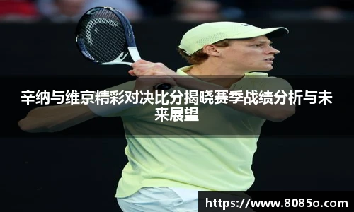 辛纳与维京精彩对决比分揭晓赛季战绩分析与未来展望