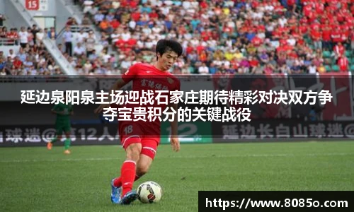 延边泉阳泉主场迎战石家庄期待精彩对决双方争夺宝贵积分的关键战役