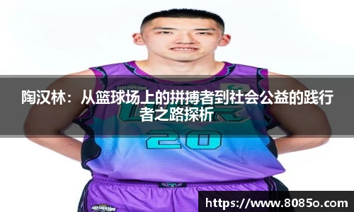 陶汉林：从篮球场上的拼搏者到社会公益的践行者之路探析