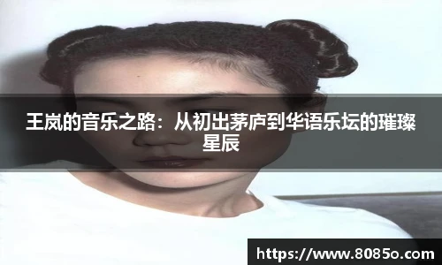 王岚的音乐之路：从初出茅庐到华语乐坛的璀璨星辰